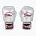 Boxing gloves Twinas Special BGVL3 silver