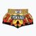 Men's training shorts YOKKAO Tiger Family Muay Thai gold