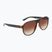 Sunglasses Nike Vintage Icon sequoia/brown gradient