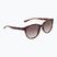 Sunglasses Nike Vital Trend tortoise/brown gradient