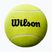 Wilson Roland Garros Mini Jumbo 5" yellow autograph tennis ball
