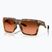 Oakley Enigma Ink polished brown tortoise/prism brown gradient sunglasses