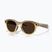 Glasses with a camera Oakley Meta HSTN light curry/transitions brown