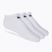 Nike Everyday Lightweight No Show 3pak training socks white SX7678-100