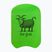 Swimming kickboard Funky Trunks Training Kickboard the goat