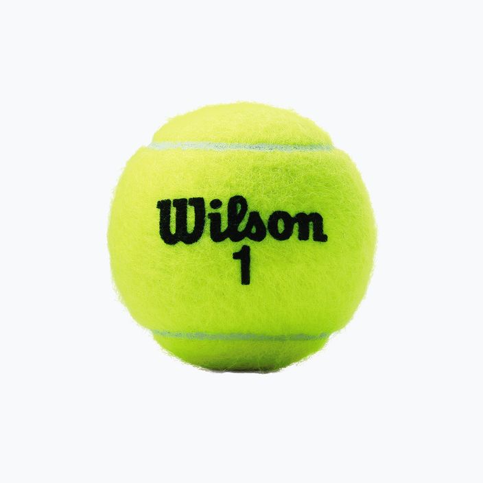 Wilson Champ Xd Tball tennis balls 3 pcs yellow WRT100101 2