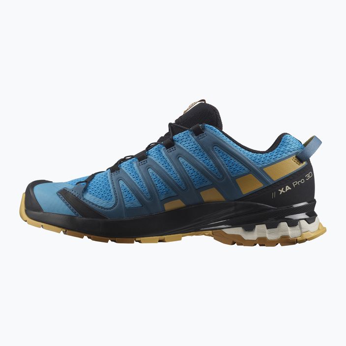 Salomon XA Pro 3D V8 men's running shoes L41439900 12