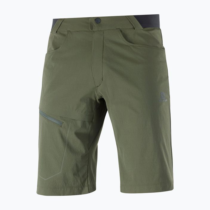 Men's Salomon Wayfarer green trekking shorts LC1762000