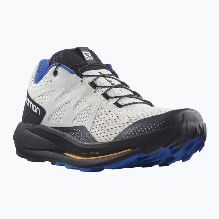 Salomon Pulsar Trail men's trail shoes grey L41602700 10