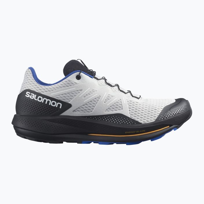 Salomon Pulsar Trail men's trail shoes grey L41602700 11