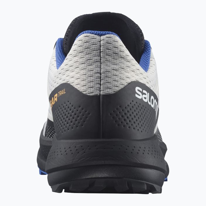 Salomon Pulsar Trail men's trail shoes grey L41602700 13