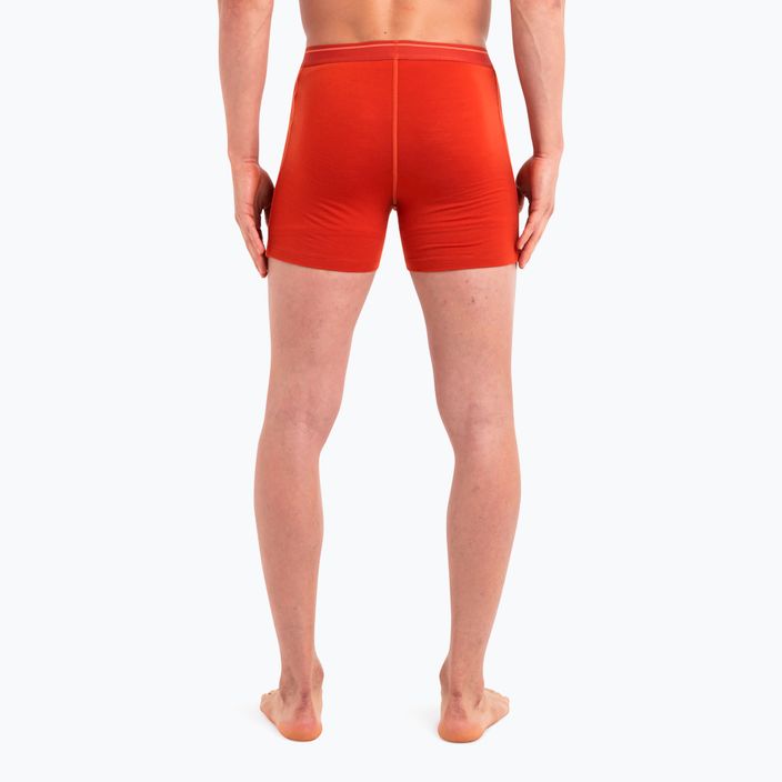 Men's thermal boxer shorts icebreaker Anatomica molten 4