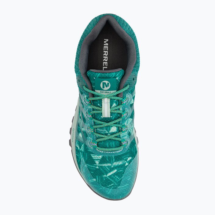 Women's running shoes Merrell Antora 2 Print blue J067192 6
