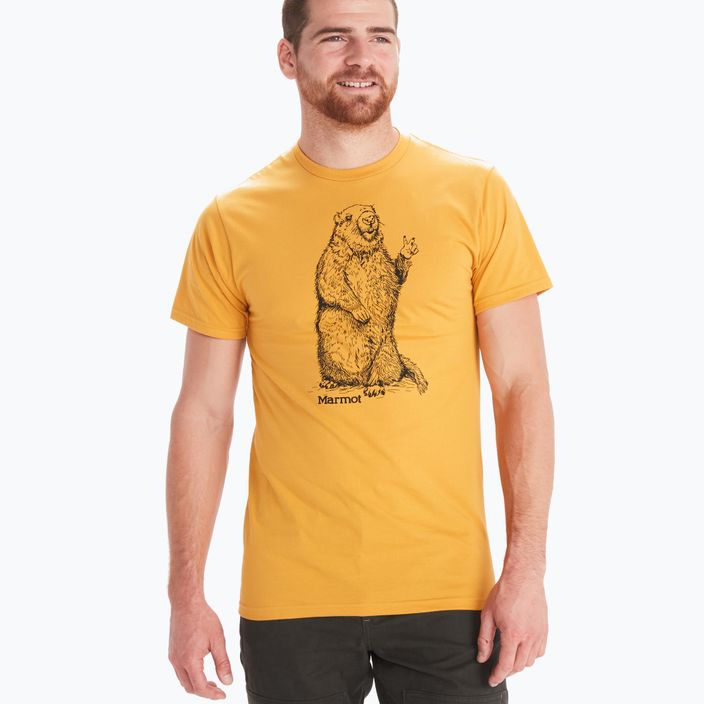 Marmot Peace men's trekking shirt yellow M13270 3