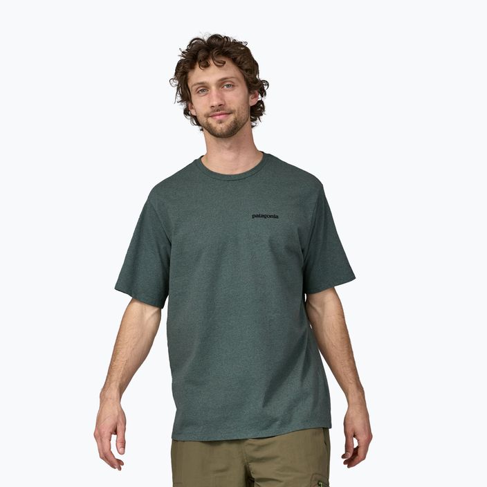 Men's Patagonia P-6 Logo Responsibili-Tee trekking shirt nouveau green