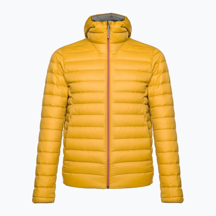 Men's Patagonia Down Sweater Hoody cosmic gold jacket