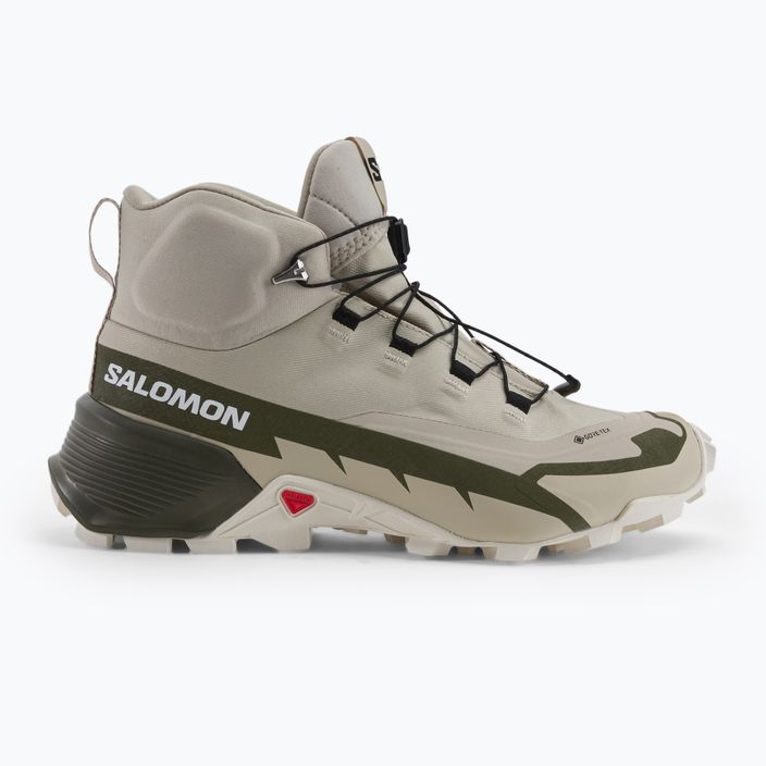 Women's trekking shoes Salomon Cross Hike MID GTX 2 grey L41731100 2
