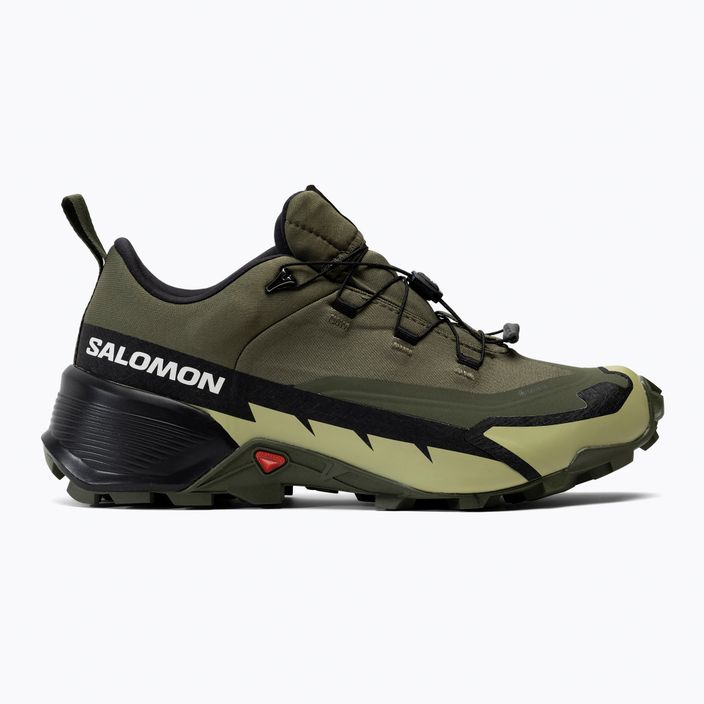Men's trekking shoes Salomon Cross Hike GTX 2 green L41730800 2