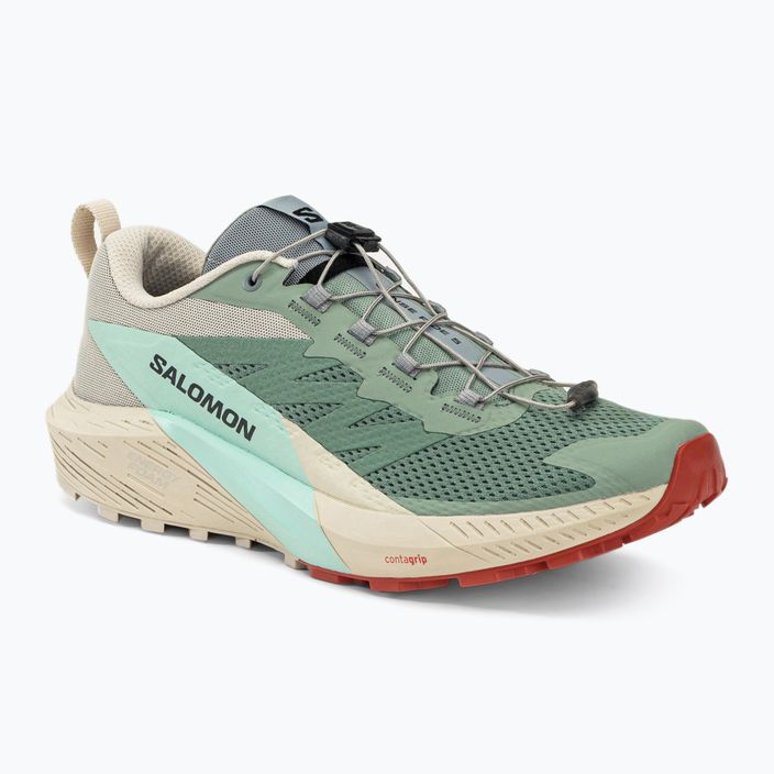 Men's running shoes Salomon Sense Ride 5 Lily Pad/Rainy Day/Bleached Aqua L47211700