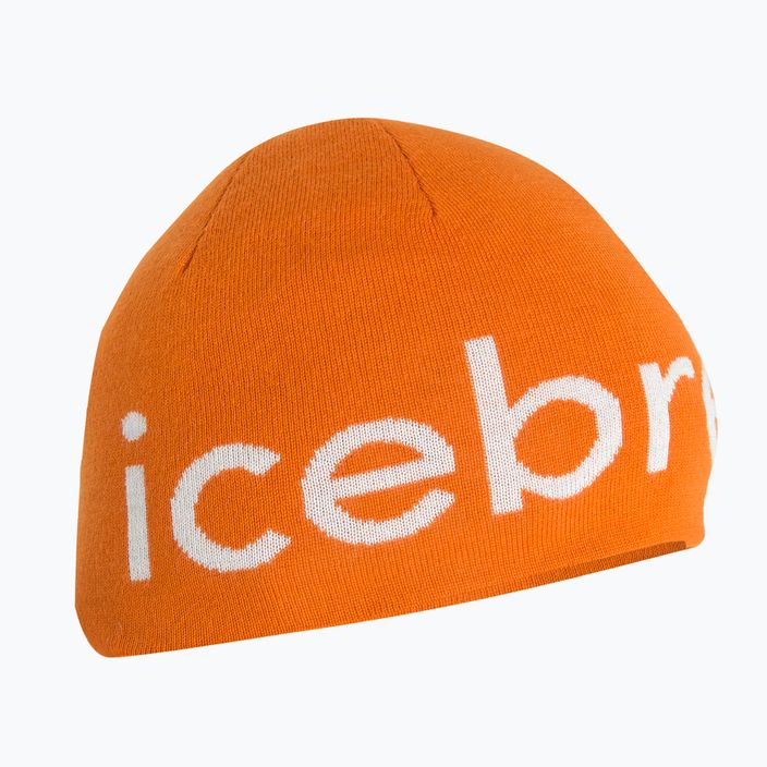 Icebreaker Merino winter beanie earth/ecru hthr 6