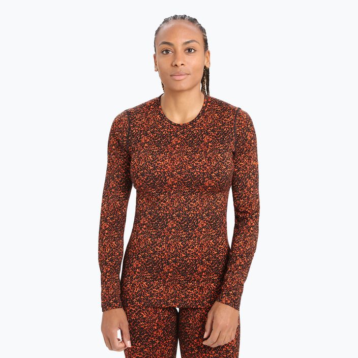 Women's thermal t-shirt icebreaker 200 Oasis burgundy IB0A56HY5951