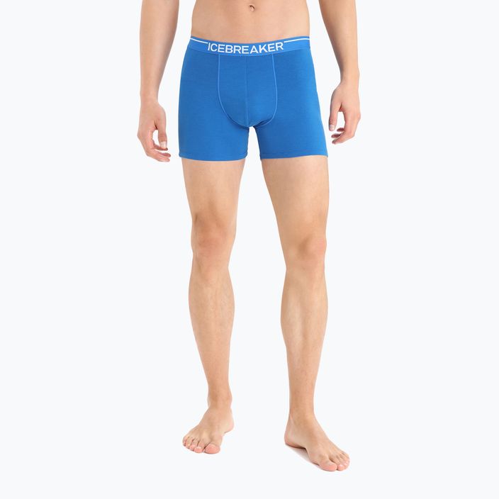Icebreaker men's boxer shorts Anatomica 001 blue IB1030295801 3