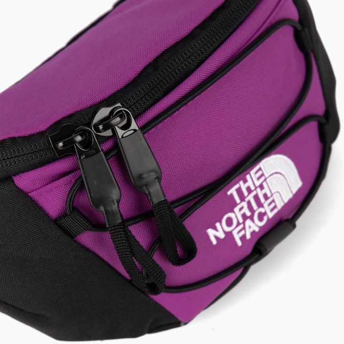 The North Face Jester Lumbar purple kidney bag NF0A52TMYV41 4
