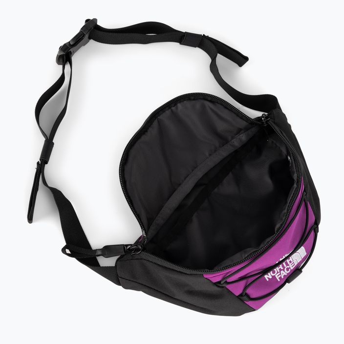 The North Face Jester Lumbar purple kidney bag NF0A52TMYV41 5