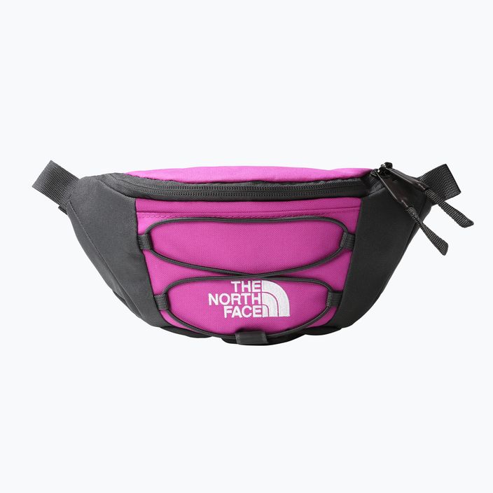 The North Face Jester Lumbar purple kidney bag NF0A52TMYV41 7