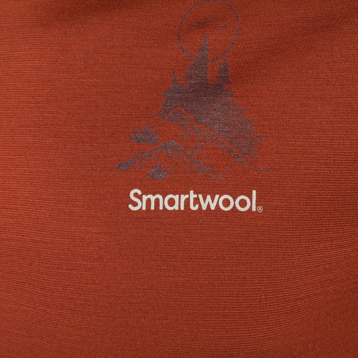 Men's Smartwool Wilderness Summit Graphic Tee brown SW016673J33 trekking t-shirt 6