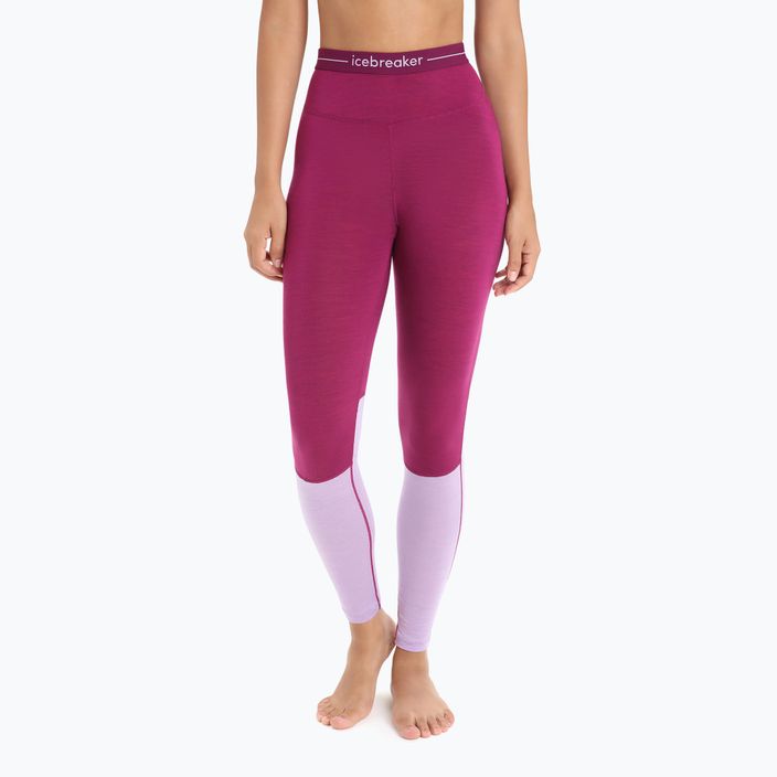 Women's thermal pants icebreaker 125 Zoneknit purple IB0A56H68221