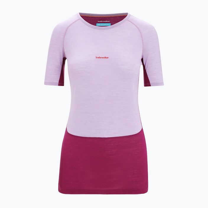 Women's thermal t-shirt icebreaker 125 Zoneknit Crewe purple IB0A56H88231 7