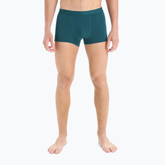 Men's thermal boxer shorts icebreaker Anatomica Cool-Lite green 105223 4