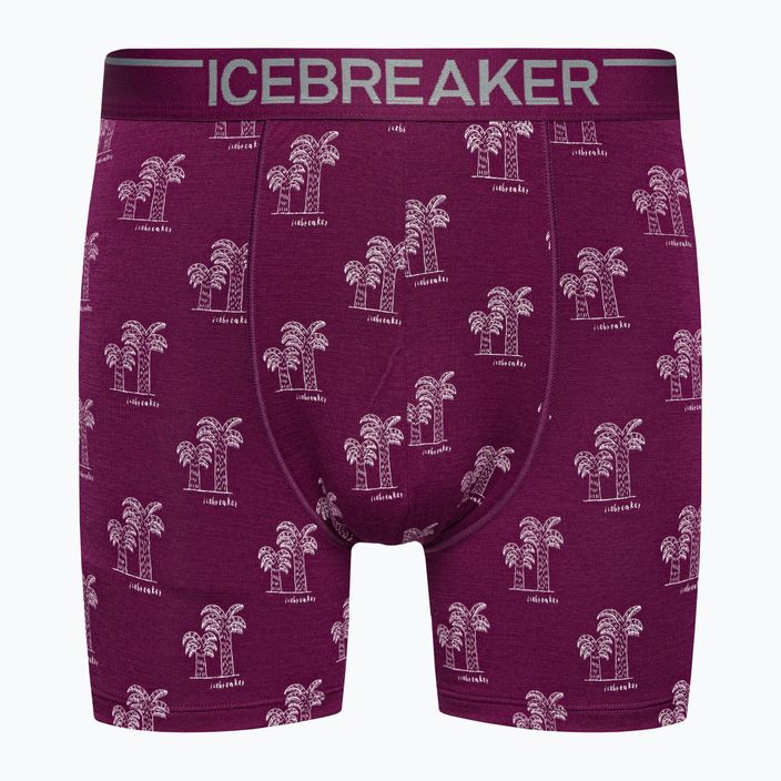 Men's thermal boxer shorts icebreaker Anatomica Go Berry 103029