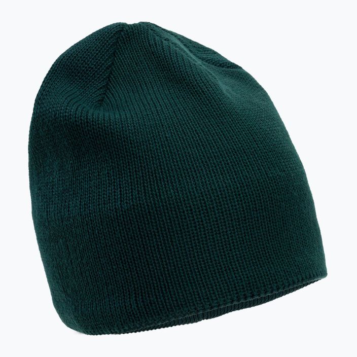 The North Face Bones Recycled green winter beanie NF0A3FNSD7V1