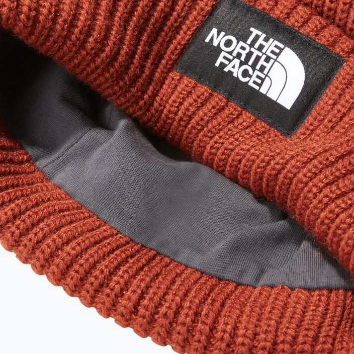 The North Face Salty brandy brown cap 8