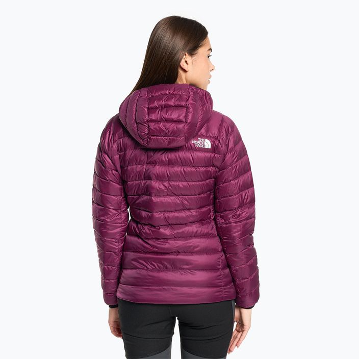 Women's winter jacket The North Face Summit Breithorn Hoodie boysenberry 2