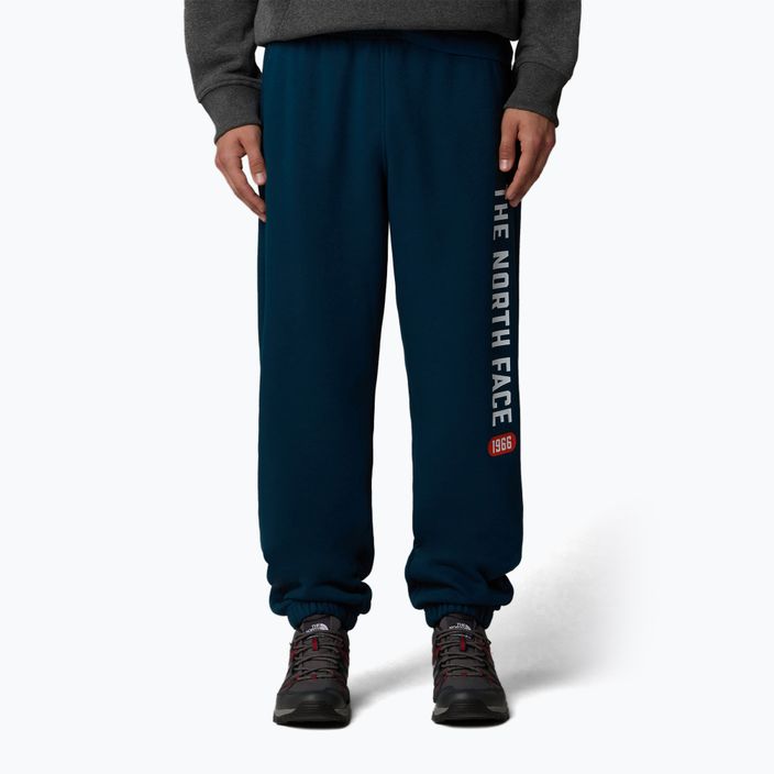 Men's trousers The North Face Varsity Graphic midnight petrol