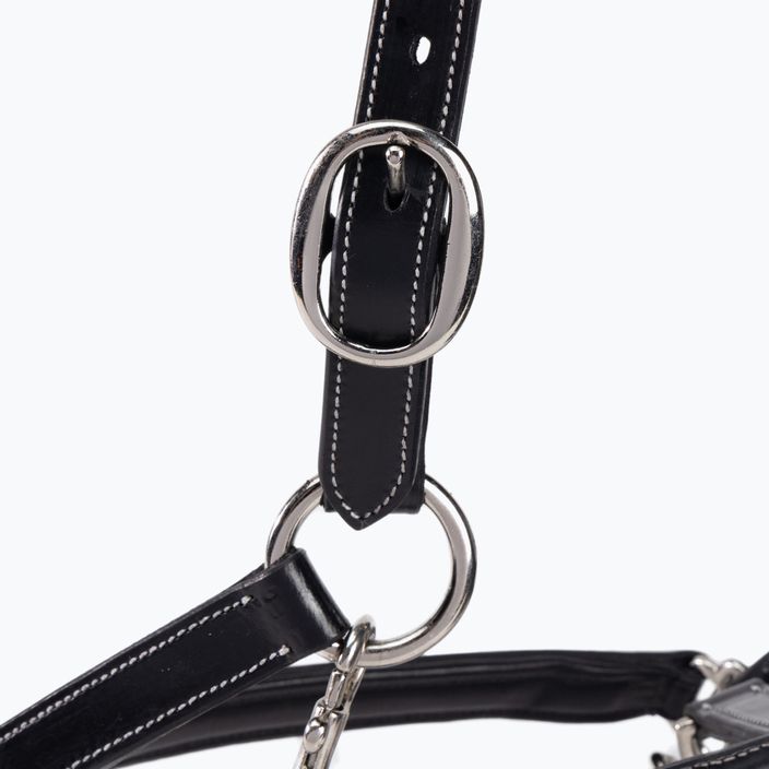 Leather halter for horse Prestige Italia black E53 4