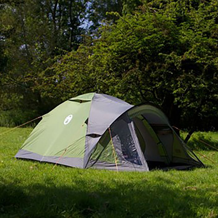 Coleman Darwin 2+ 2-person camping tent green 2000038488 3