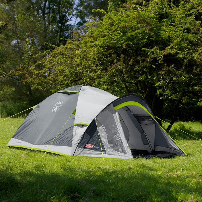 Coleman Darwin 3+ 3-person camping tent grey 2176904 3