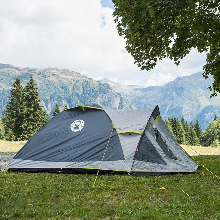 Coleman Darwin 3+ 3-person camping tent grey 2176904 4