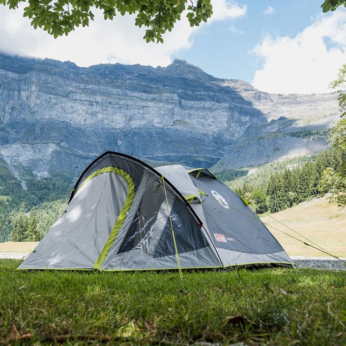 Coleman Darwin 3+ 3-person camping tent grey 2176904 6
