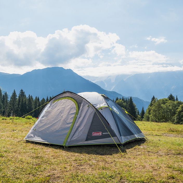 Coleman Darwin 4+ 4-person camping tent grey 2176905 3