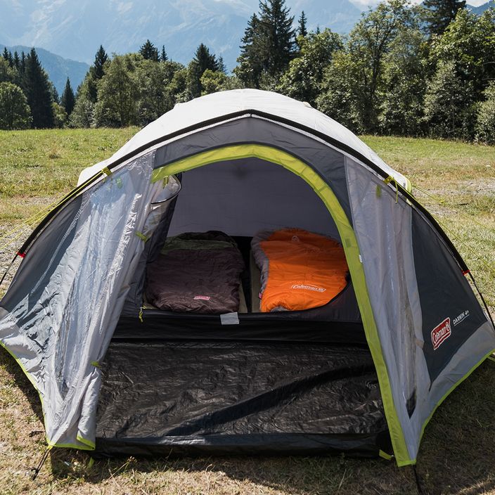 Coleman Darwin 4+ 4-person camping tent grey 2176905 6
