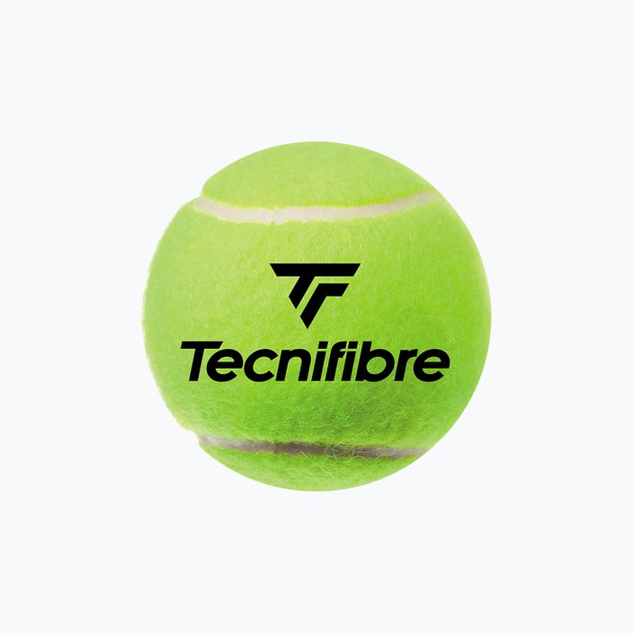 Tecnifibre Club Pet tennis balls 4 pcs yellow 60CLUB364N 2