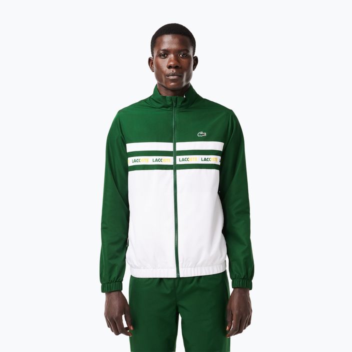 Lacoste men's tennis tracksuit WH7567 green/white 3