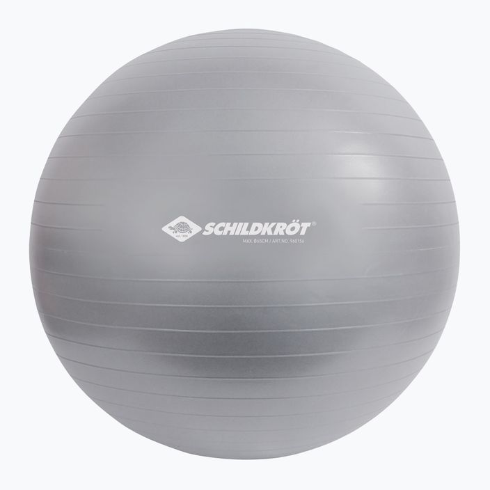 Schildkröt Gymnastic ball grey 960156 65 cm