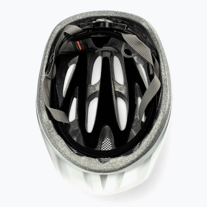 Bicycle helmet Alpina MTB 17 white/silver 5