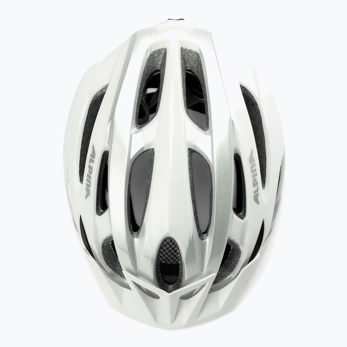 Bicycle helmet Alpina MTB 17 white/silver 6